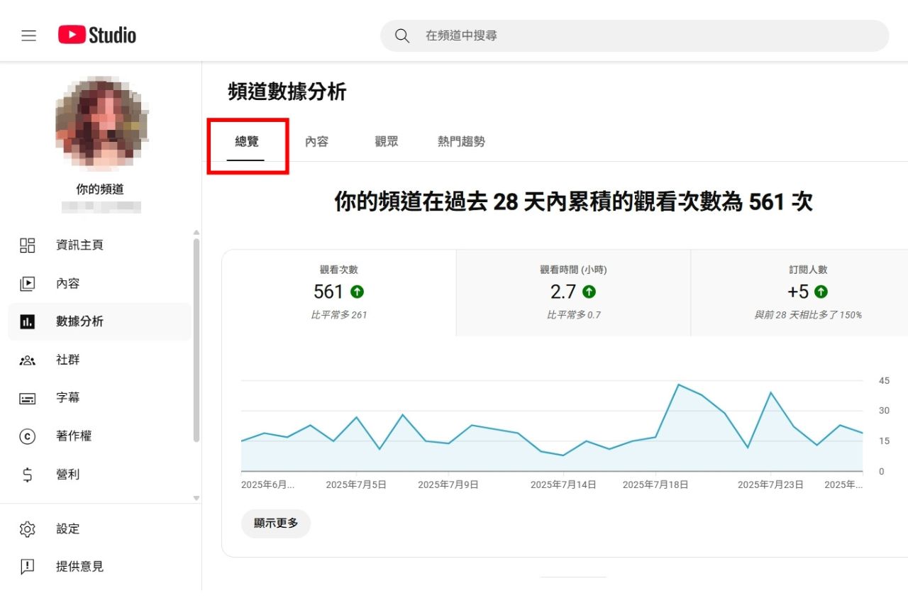 總覽(Overview)